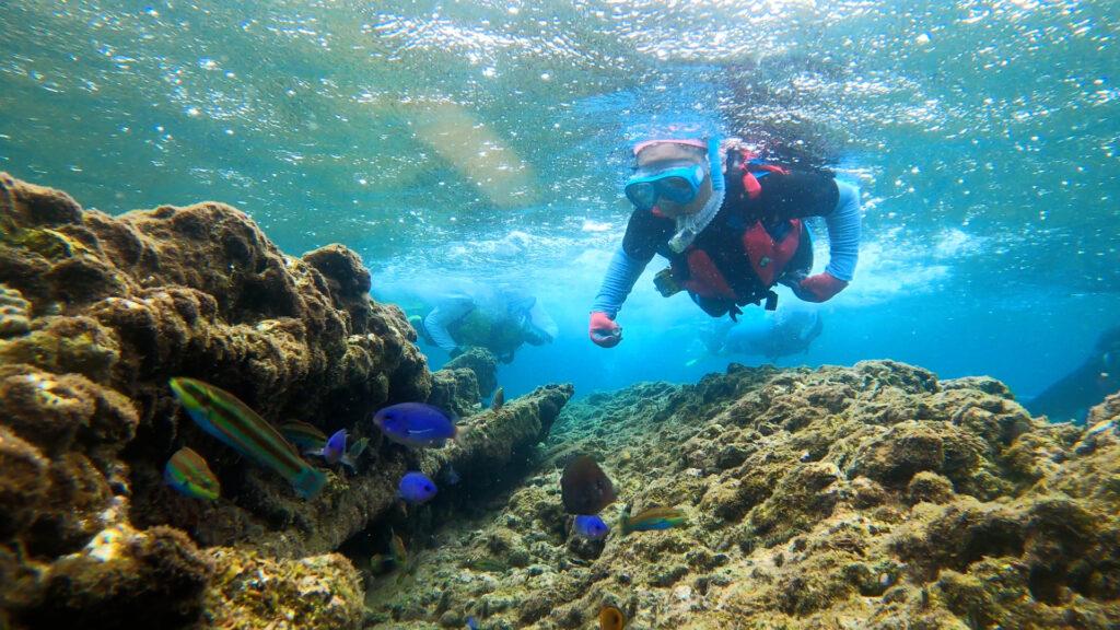 沖ノ島の海で魚やサンゴを観察するシュノーケリング体験