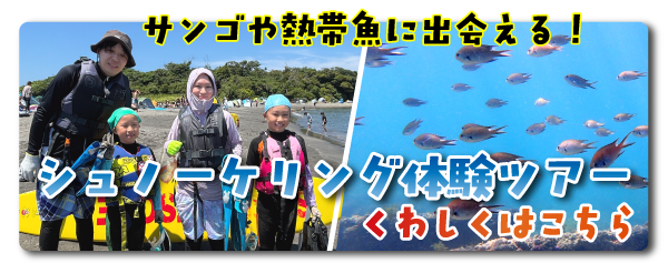 はじめてシュノーケリング体験をする場合は体験プログラム参加を推奨します